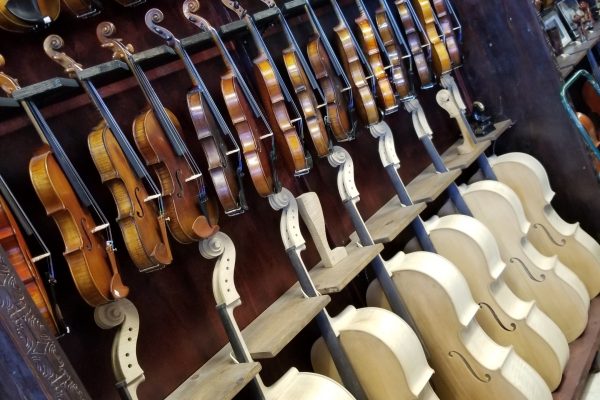different_colored_violins_jax_violins