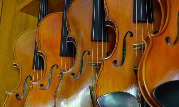 violins_close_up_jacksonville_violins