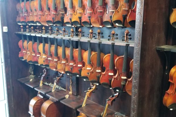 violins_displayed_in_jacksonville_violins